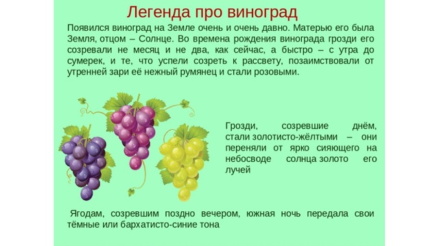 foto 04 08 2022 14 24 3