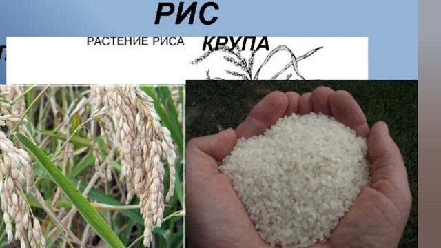 foto 2023 10 10 10 19 6